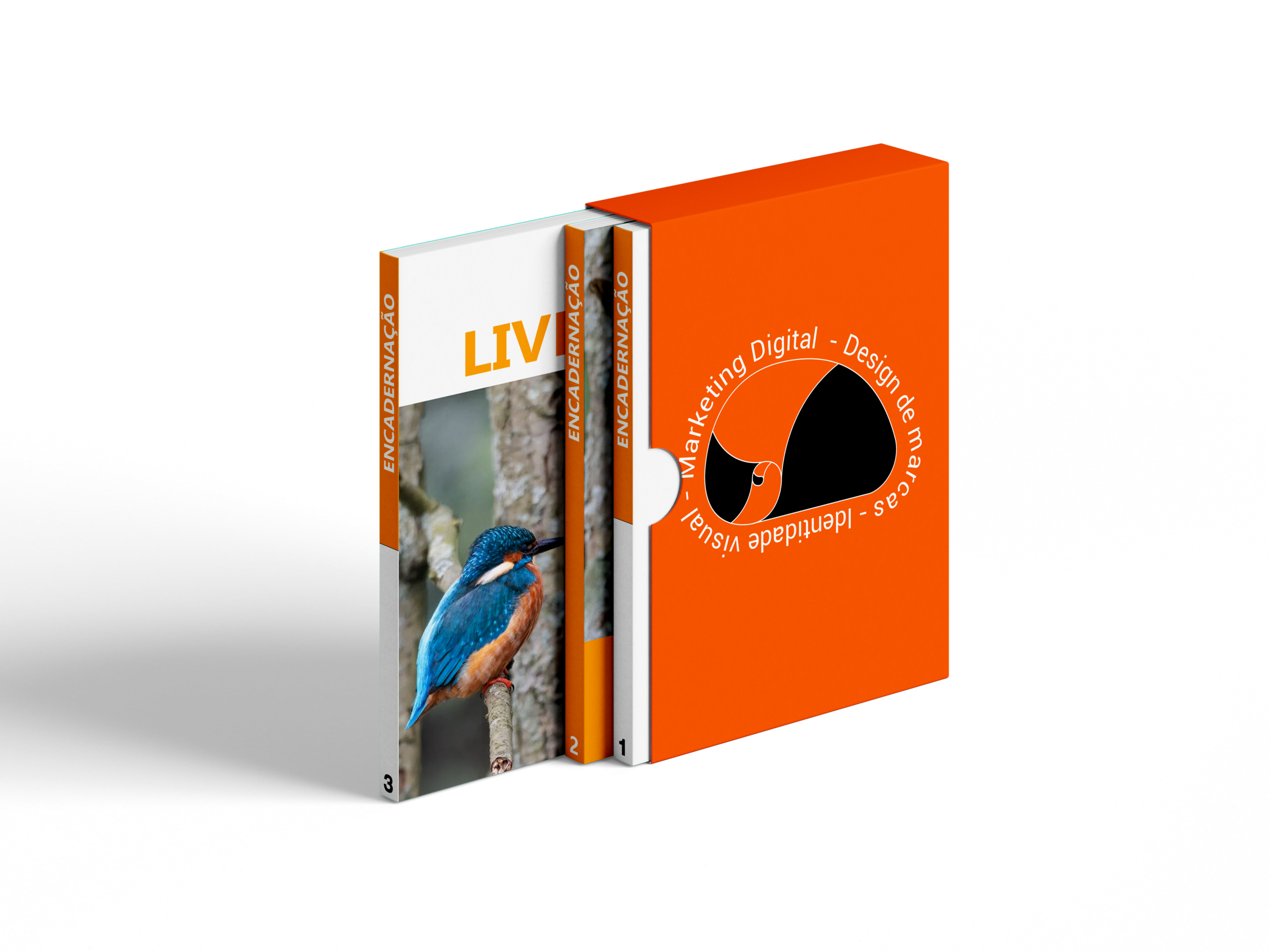 Three Books Box 2Mockup 2 Scaled